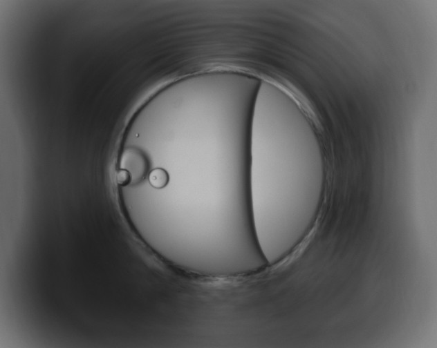 X0000100390814200806060832
