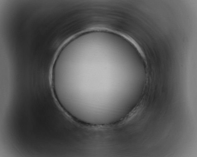 X0000100390815200806060832