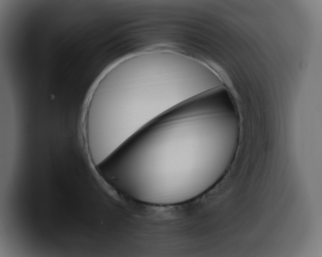 X0000100390816200806060832