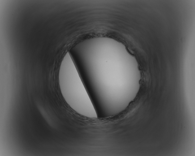 X0000100390818200806060831