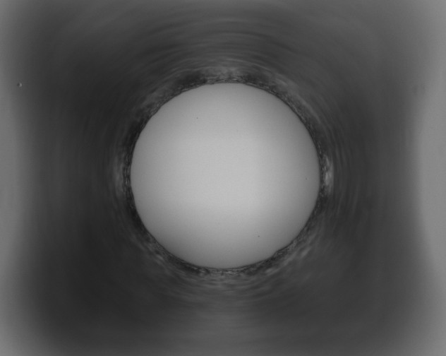 X0000100390819200806060831