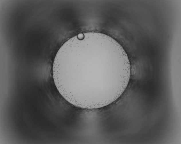 X0000100390820200806060831