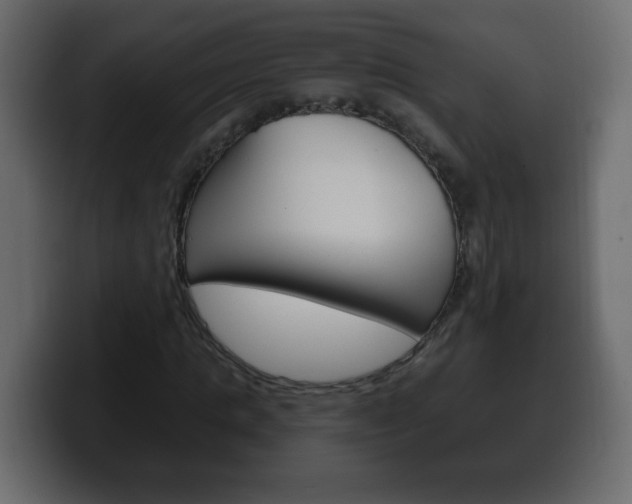 X0000100390821200806060831