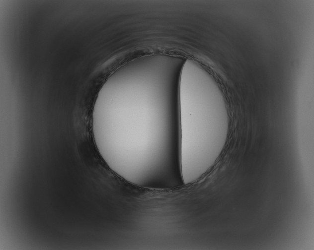 X0000100390822200806060831