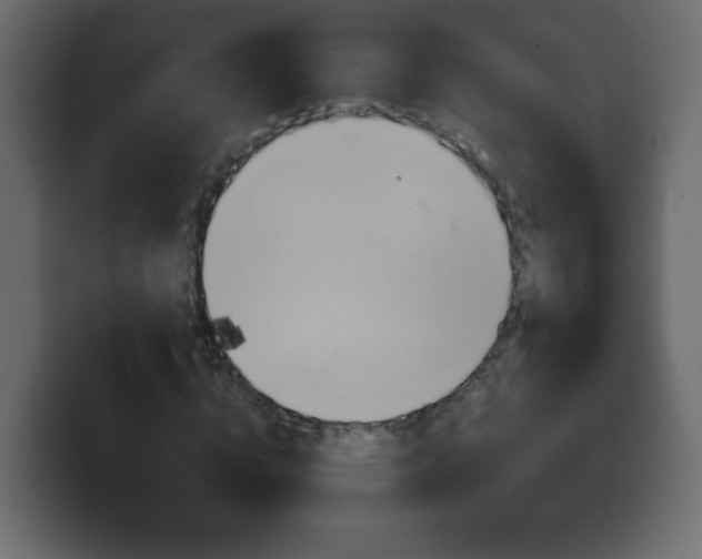 X0000100390824200806060832