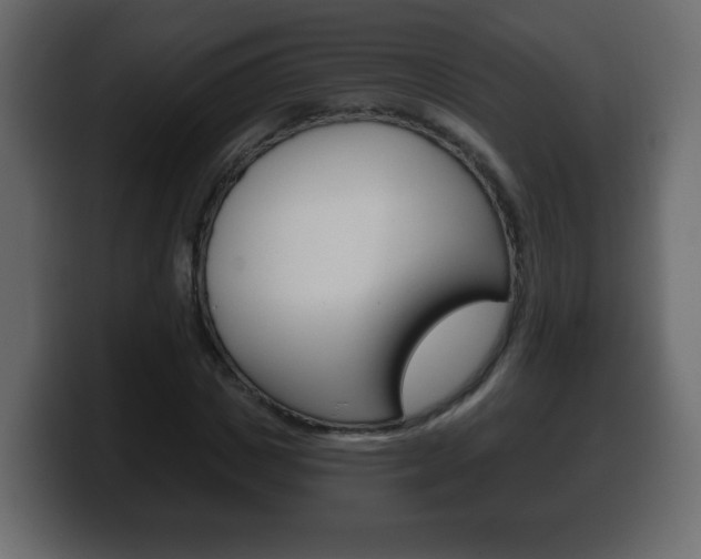X0000100390825200806060832