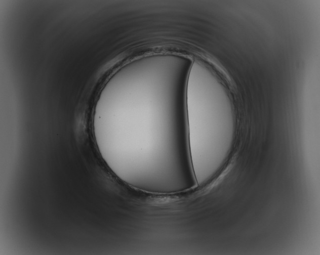 X0000100390826200806060832