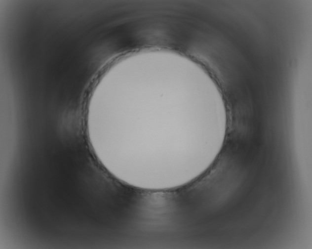 X0000100390828200806060832