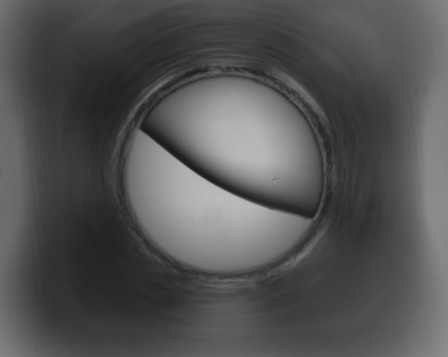 X0000100390829200806060832
