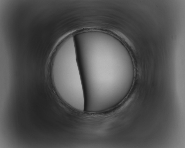X0000100390830200806060832