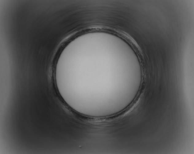 X0000100390831200806060832