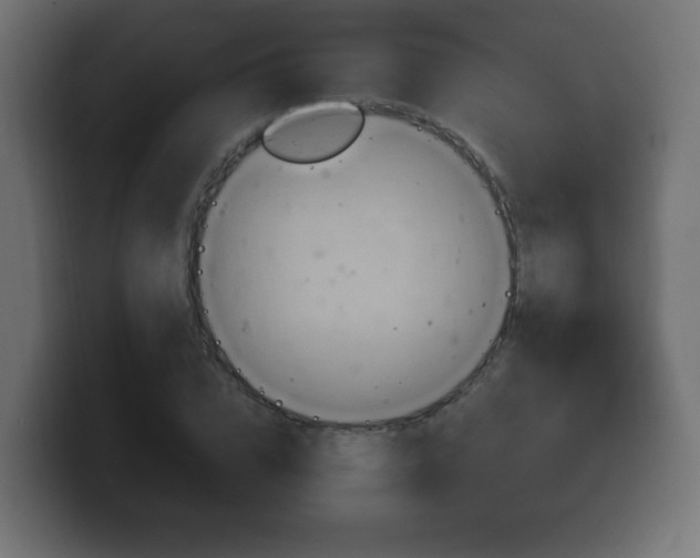 X0000100390832200806060832