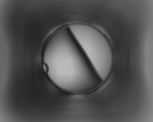 X0000100390834200806060832
