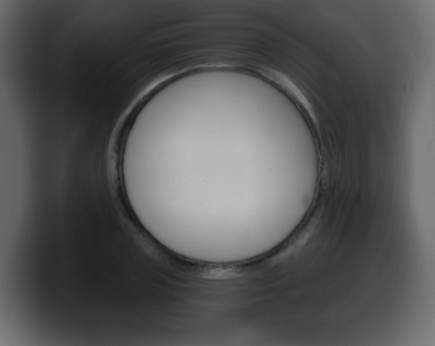 X0000100390835200806060832