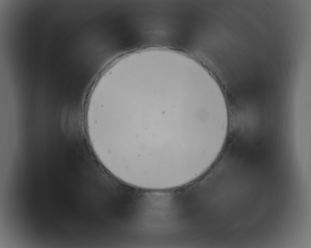 X0000100390836200806060832