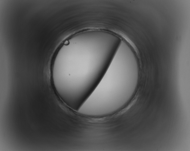 X0000100390837200806060832