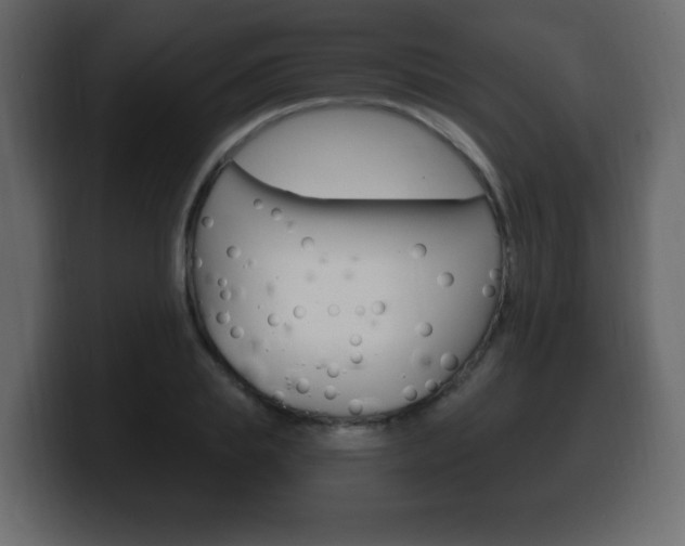 X0000100390839200806060832