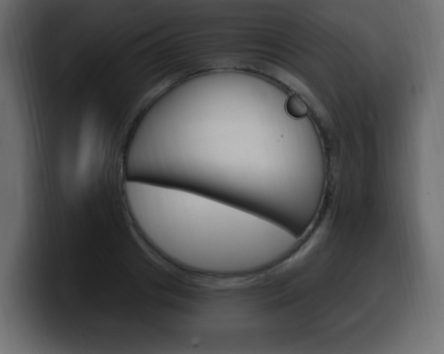X0000100390841200806060832