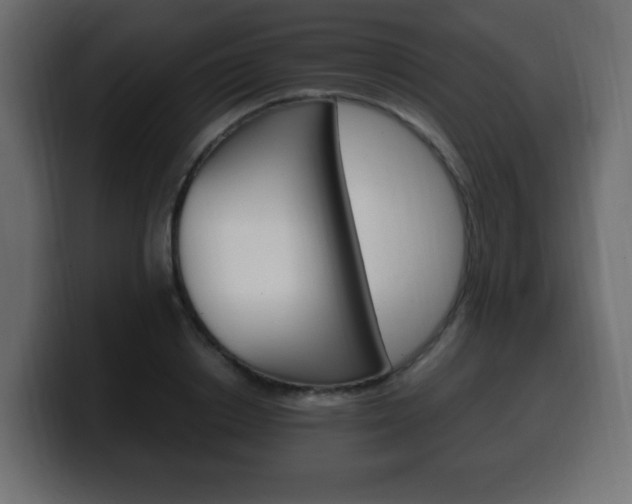 X0000100390842200806060832