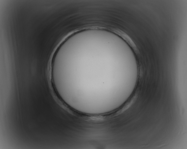 X0000100390844200806060832