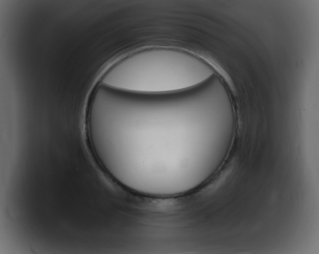 X0000100390845200806060832