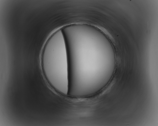 X0000100390846200806060832
