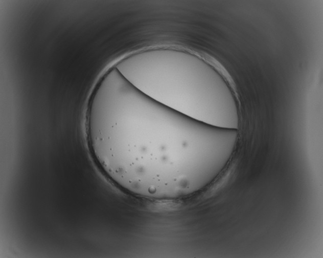 X0000100390847200806060832