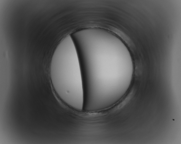 X0000100390849200806060832
