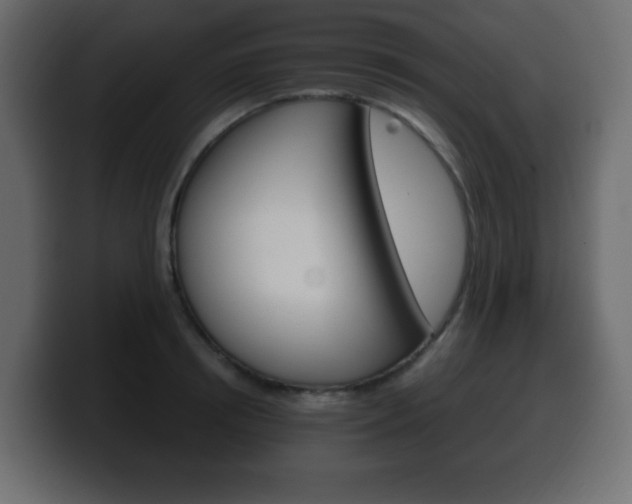 X0000100390850200806060832