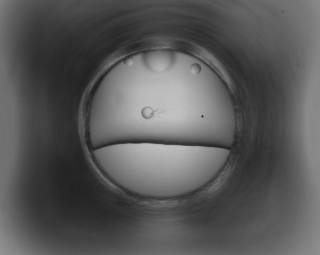 X0000100390851200806060832