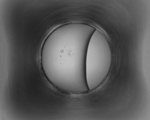 X0000100390852200806060832