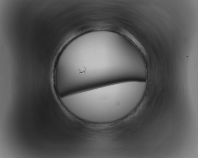 X0000100390853200806060832