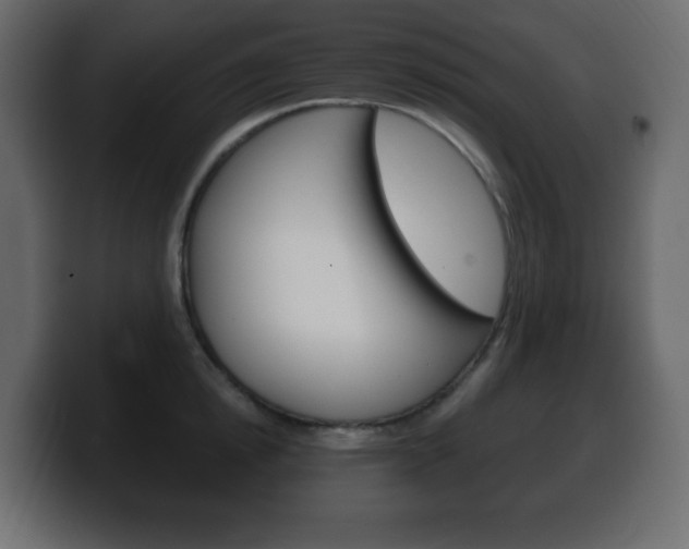X0000100390854200806060832