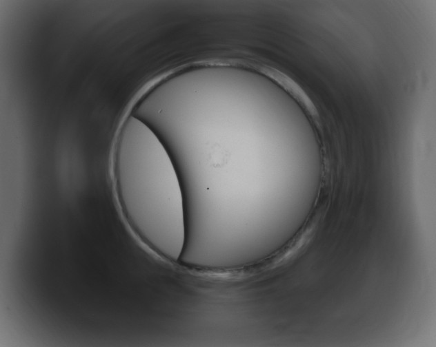 X0000100390855200806060832
