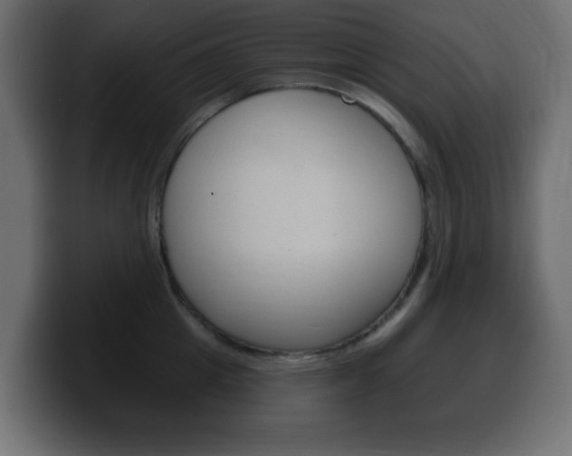 X0000100390857200806060832
