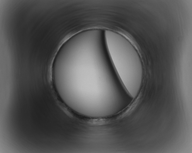 X0000100390858200806060832