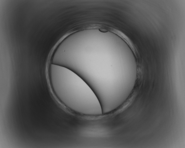 X0000100390859200806060832