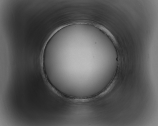 X0000100390860200806060832