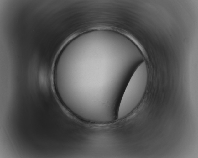 X0000100390861200806060832