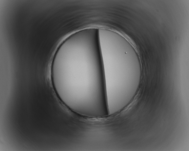 X0000100390862200806060832