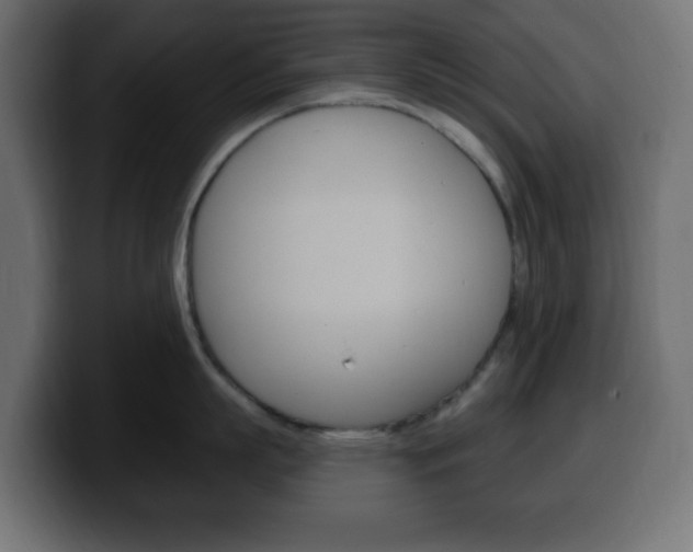X0000100390863200806060832