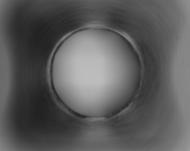 X0000100390864200806060832