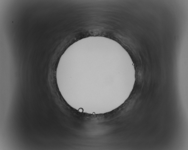 X0000100390865200806060831