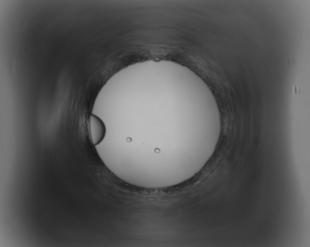 X0000100390866200806060831