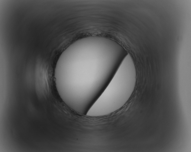 X0000100390867200806060831