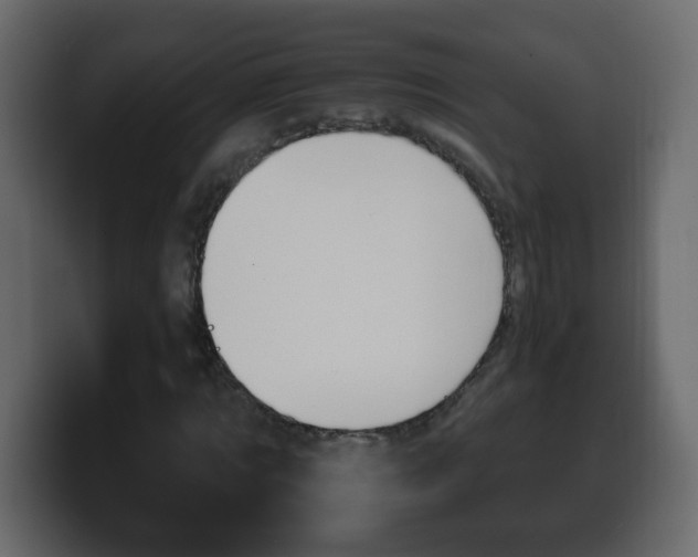 X0000100390869200806060831
