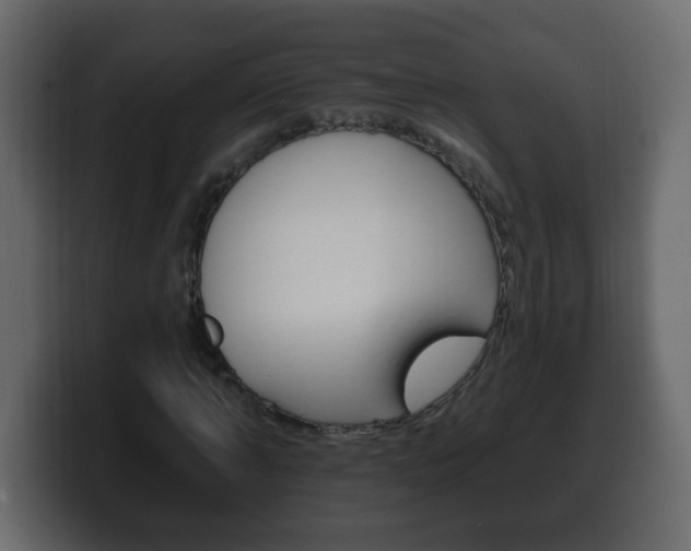 X0000100390870200806060831