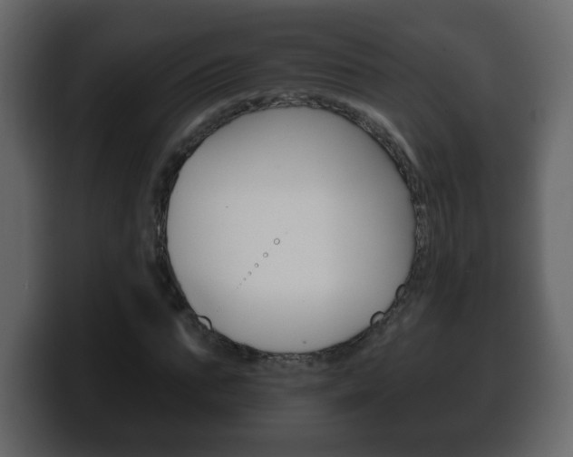 X0000100390871200806060831