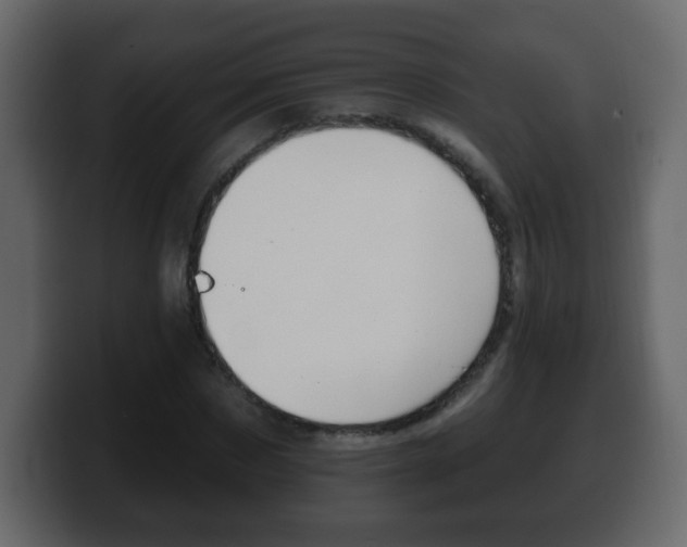 X0000100390873200806060831