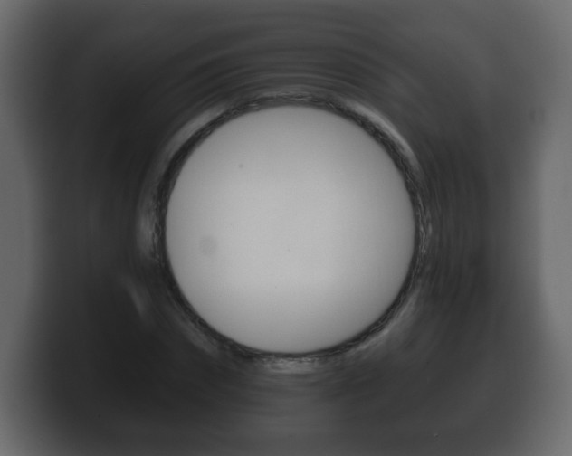 X0000100390874200806060831